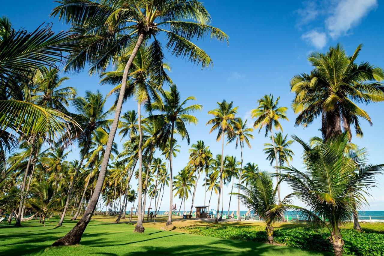 Paraíso na terra Tamandaré Exterior foto